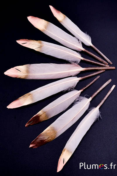 Gans Stift Spitze gold-bronze - 10-15 cm - beige rosa